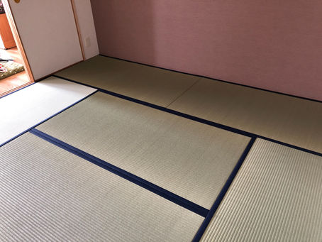 昨日のお客様です。