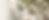 faq_photo_crop.png