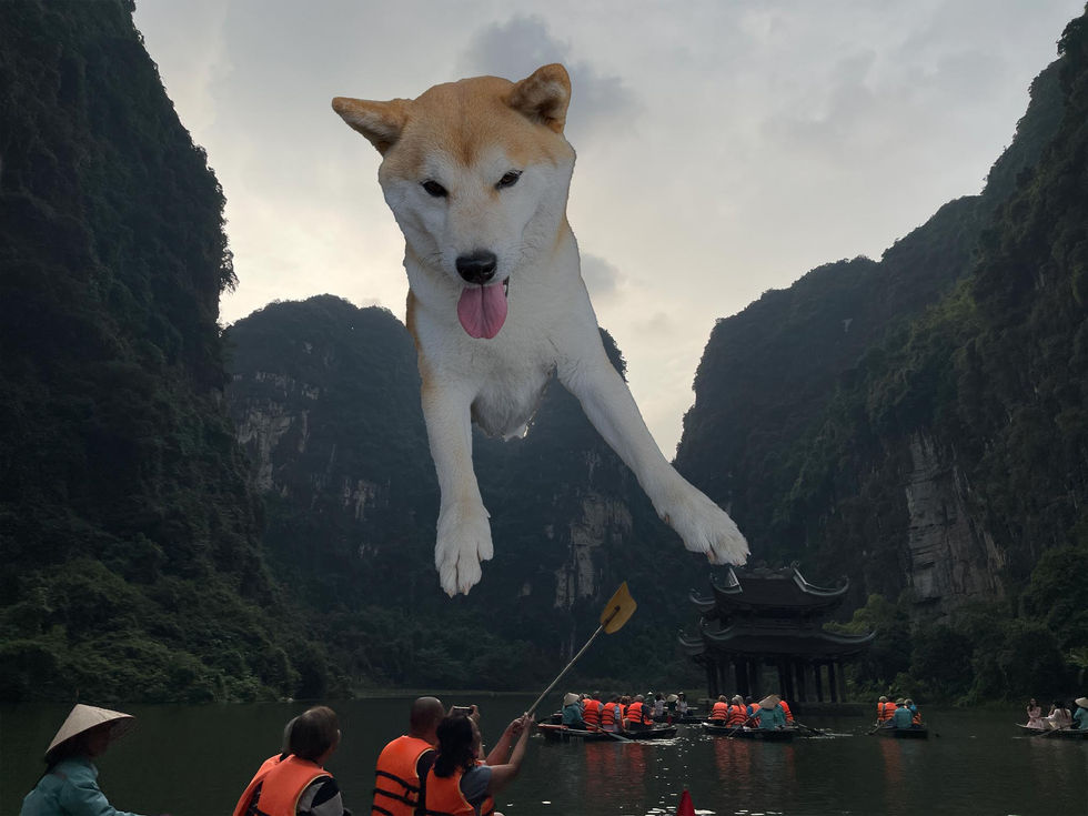 Surreal Edit