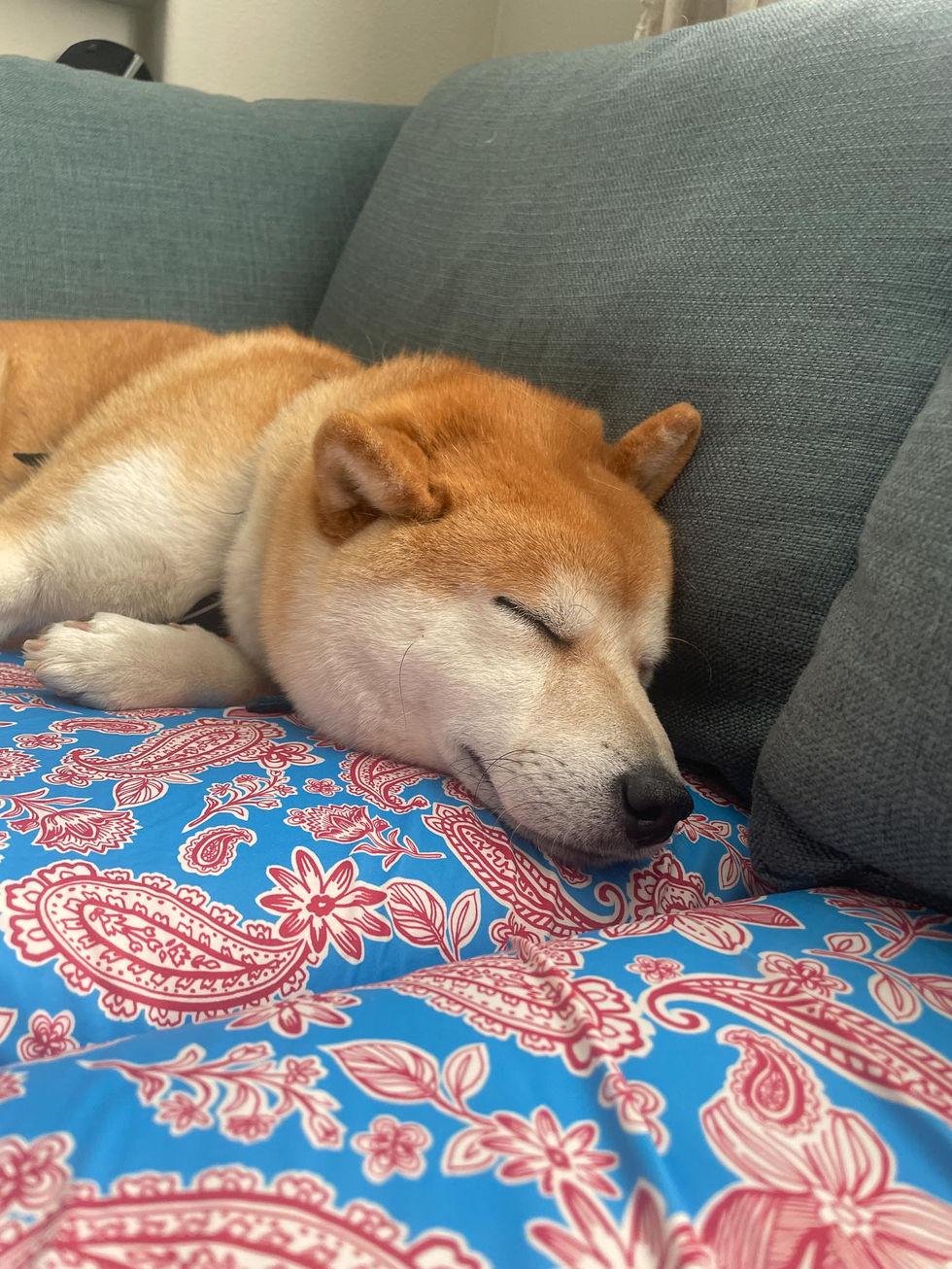 Comfort