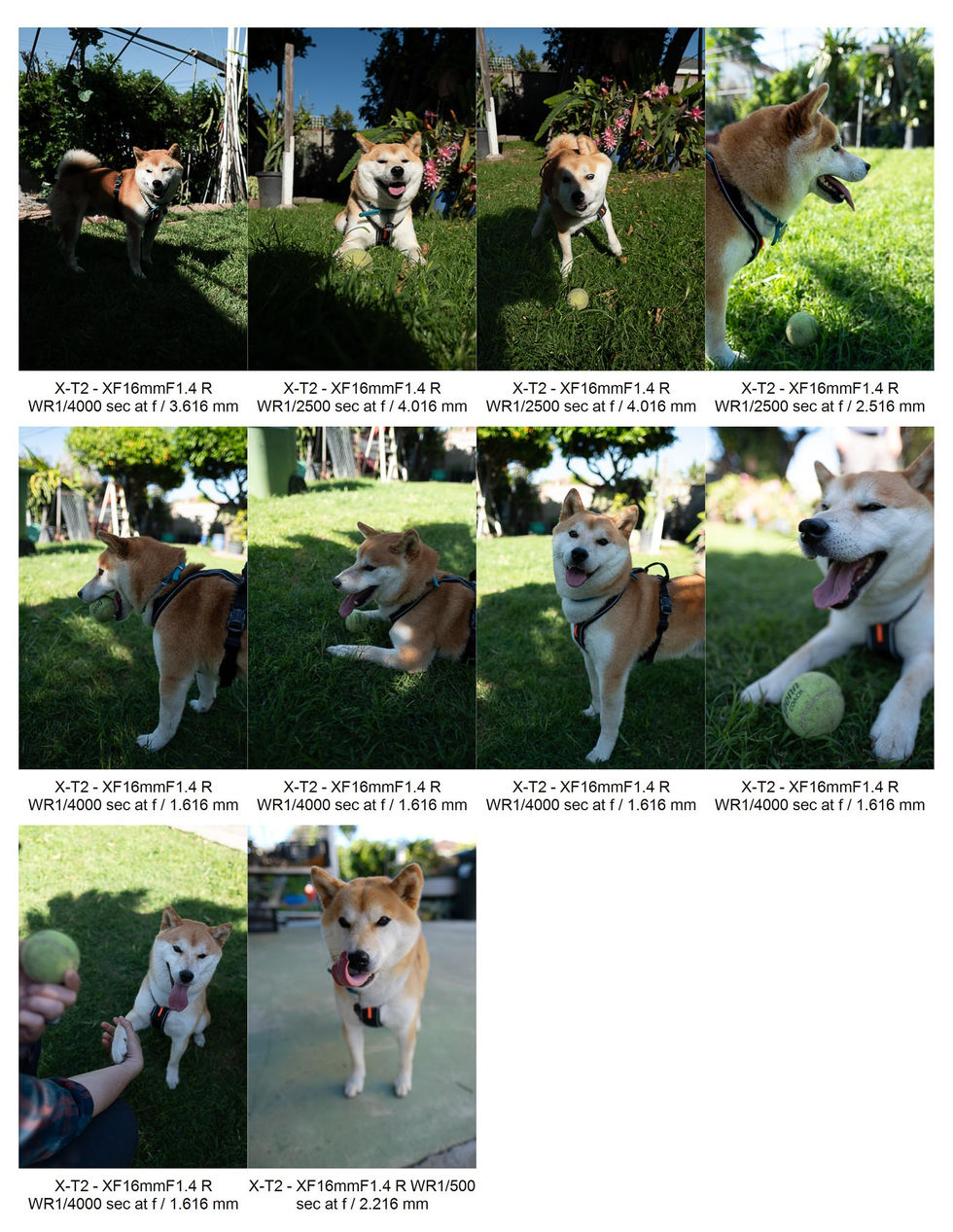 Contact Sheet