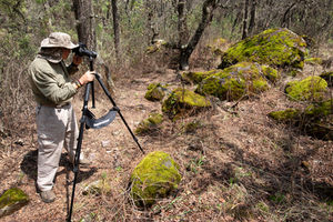 Bosques del Estado de México 