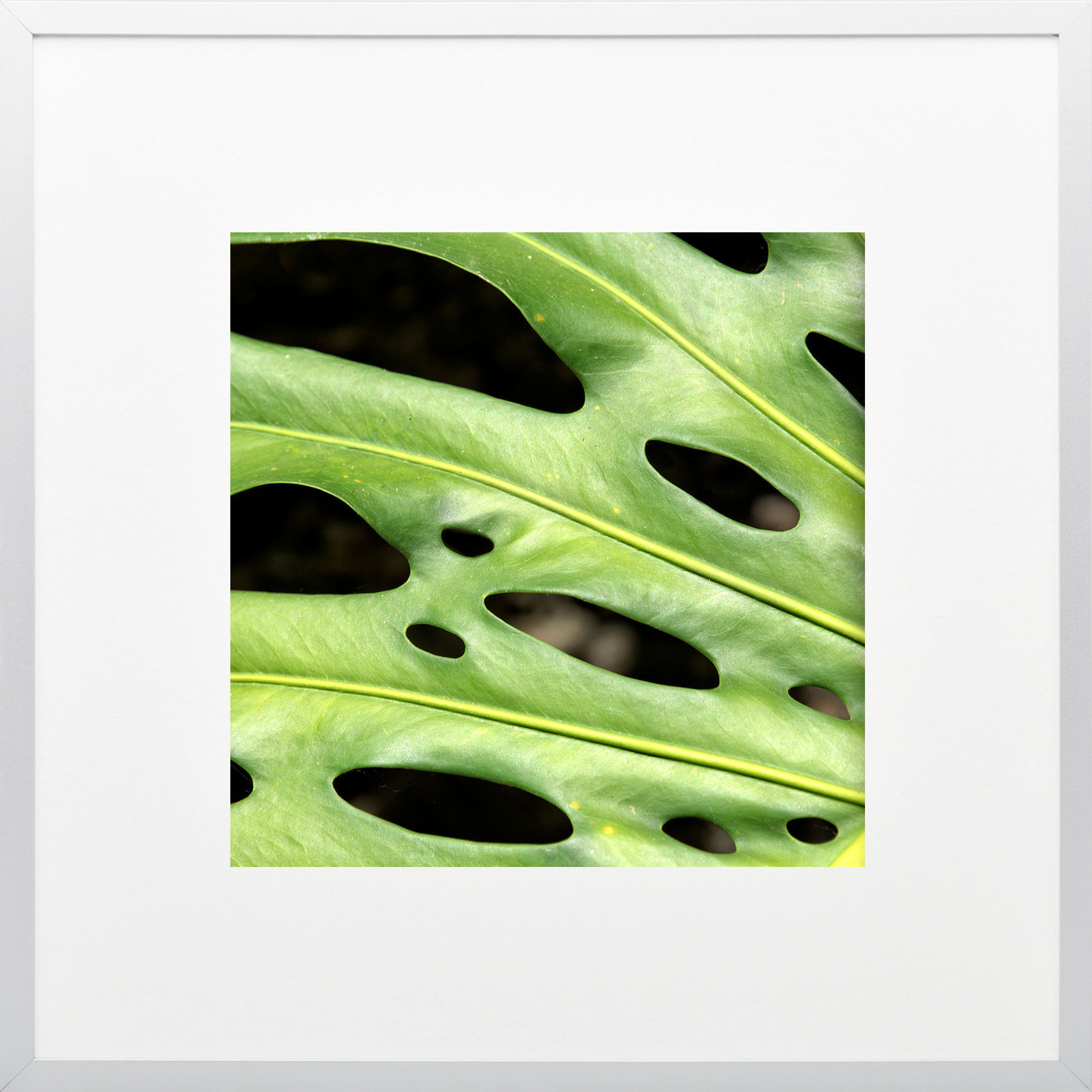 Detalle de Naturaleza