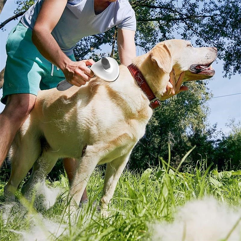 Miniatura: 🐾Escova Removedora de Pelos Pet com Auto Limpeza, Ideal para Cães e Gatos 🐶🐱✨