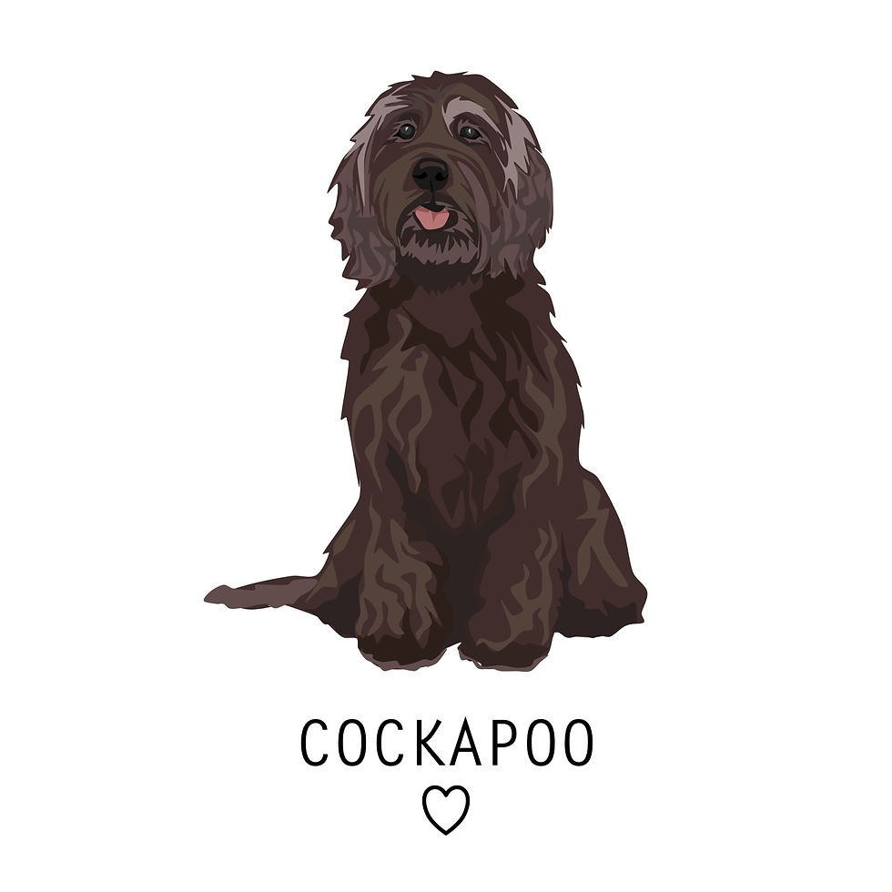 Thumbnail: Cockapoo Design Candle
