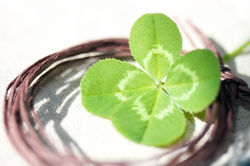 安心した生活を創造する