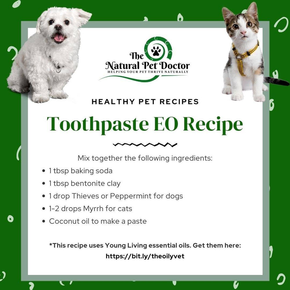 Natural Remedies for Your Dog & Cat's Bad Breath Dental Chews The