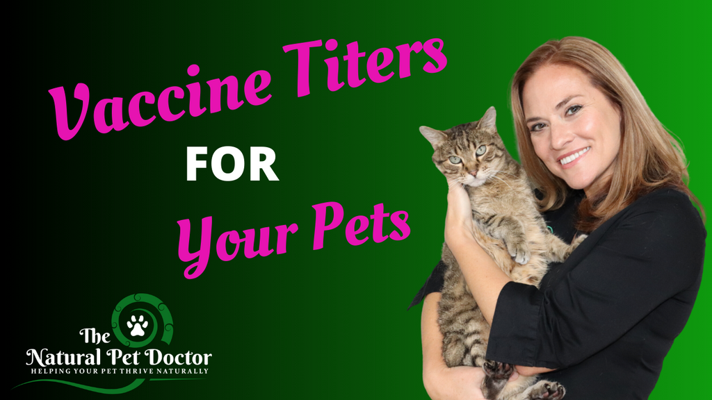 natural cat care blog