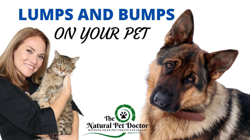 Skin Lumps and Bumps in Dogs and Cats - What You Need to Know
