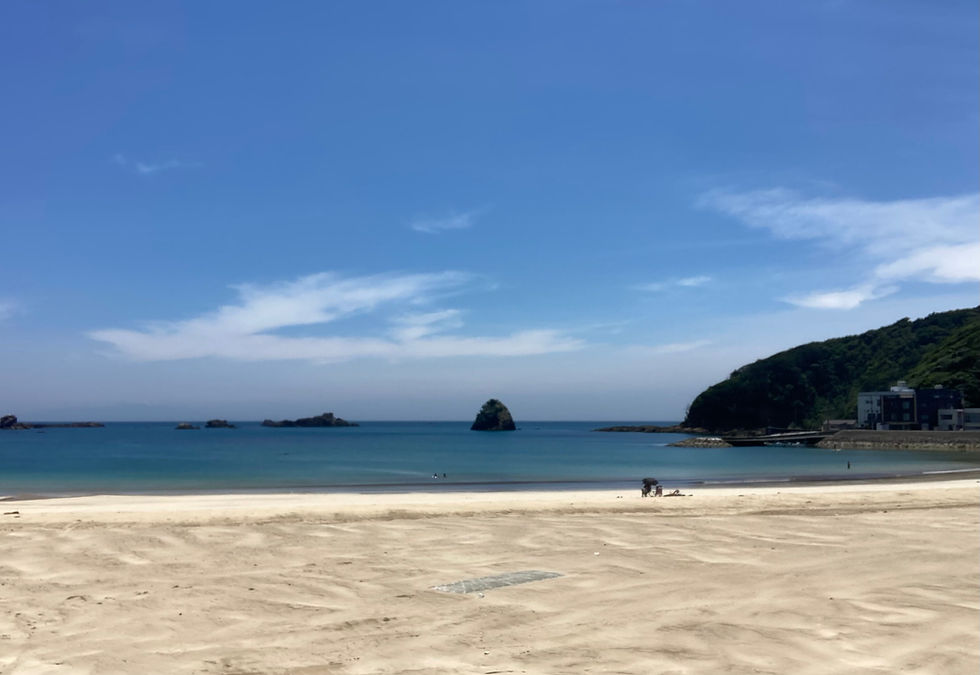 海水浴場遊泳状況について