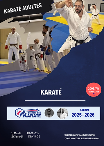 Karate adult.png