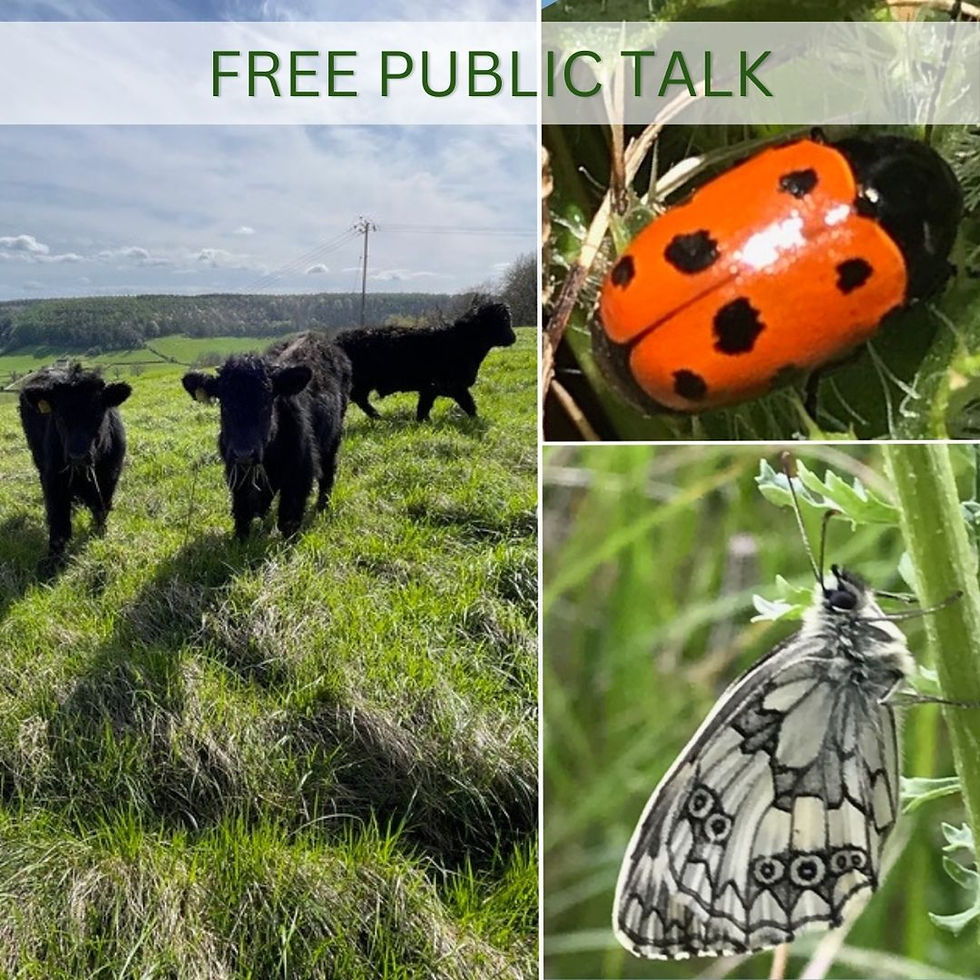 The Accidental Ecologist