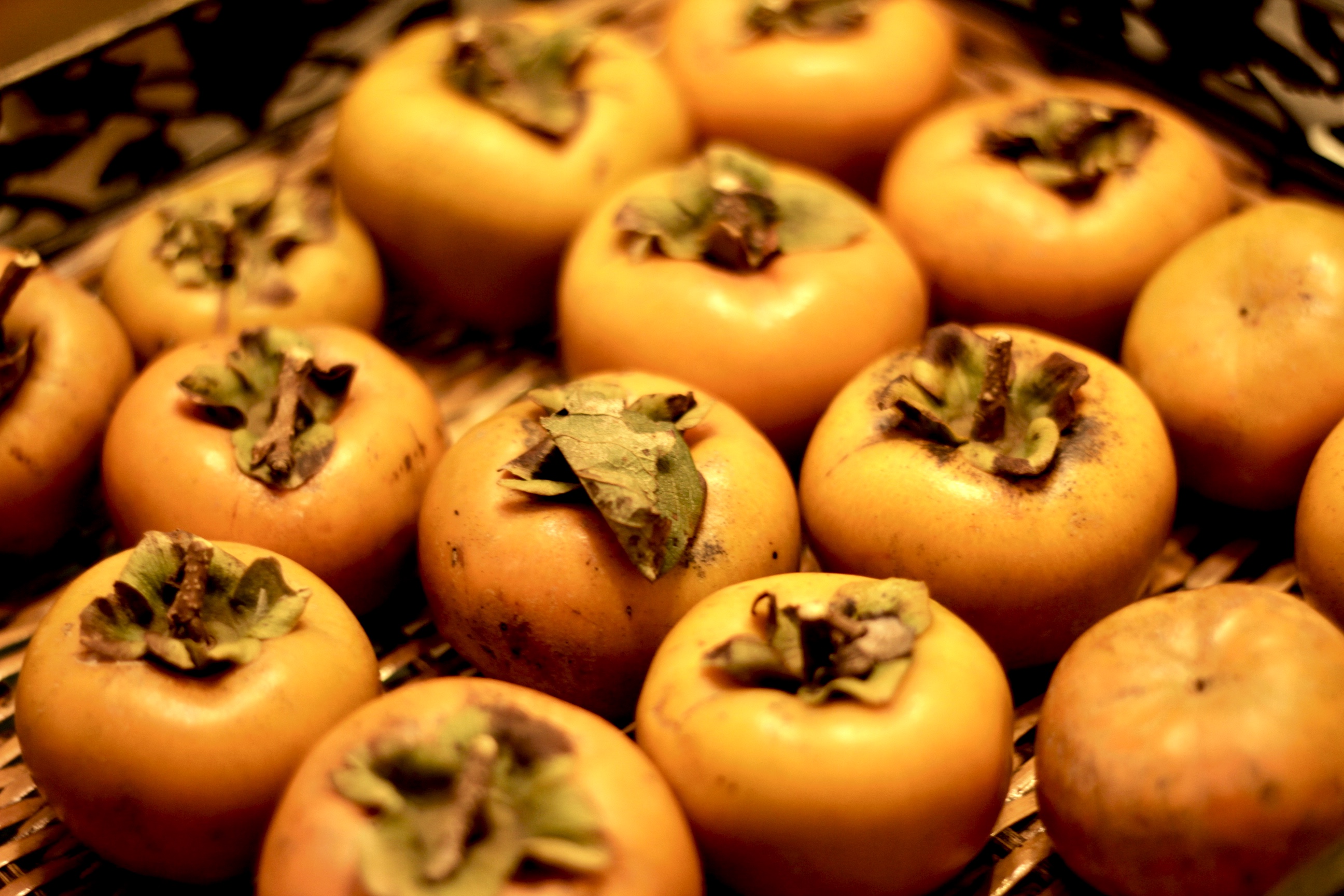 persimmons teach patience