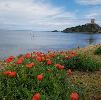 Site archéologique de Nora