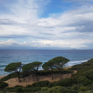 Cagliari