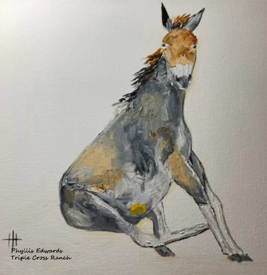 Grouchy Mule Coffee