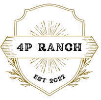4p.png