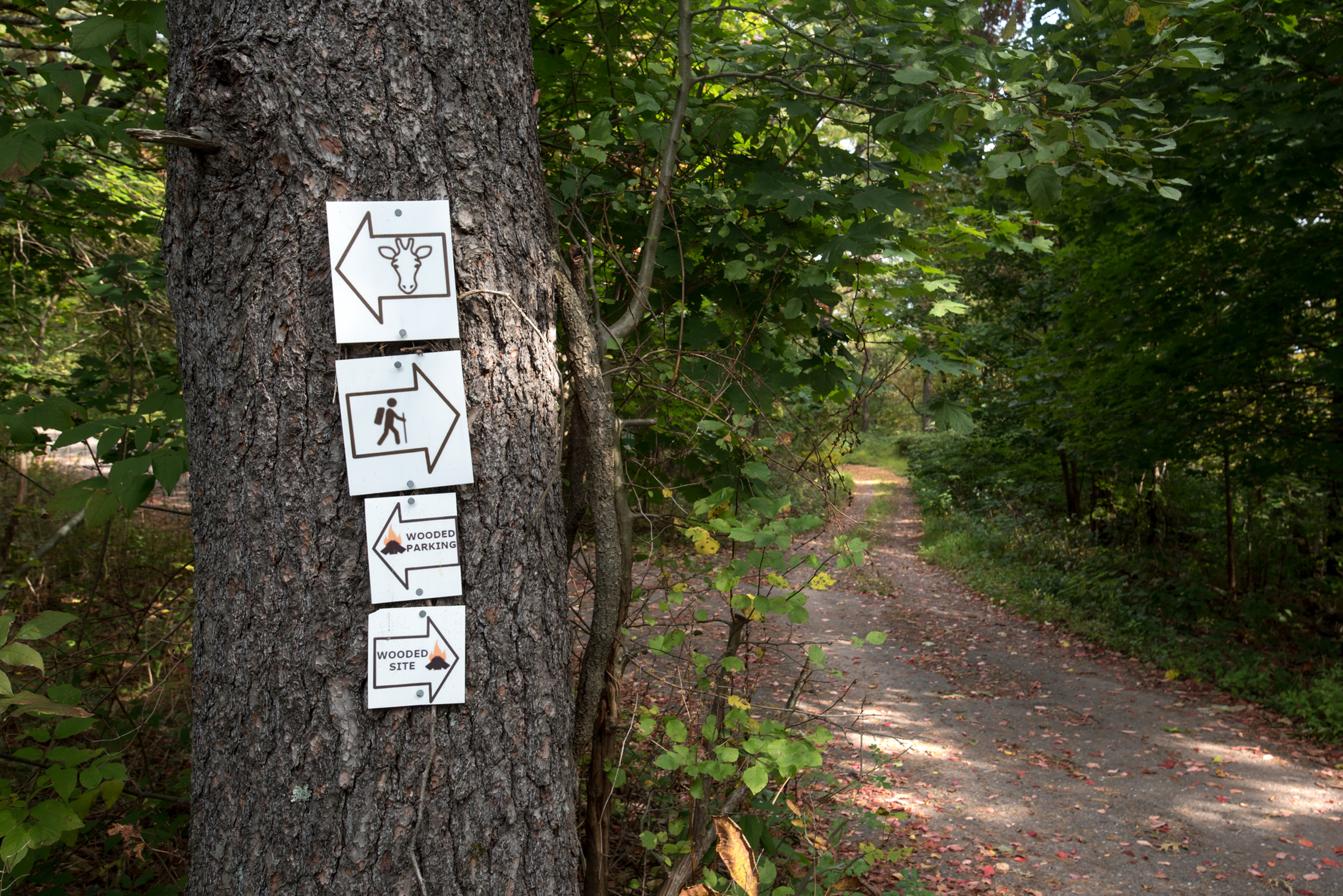 Things to Do in The Catskills | The Old Game Farm