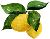 LEMN_3.png