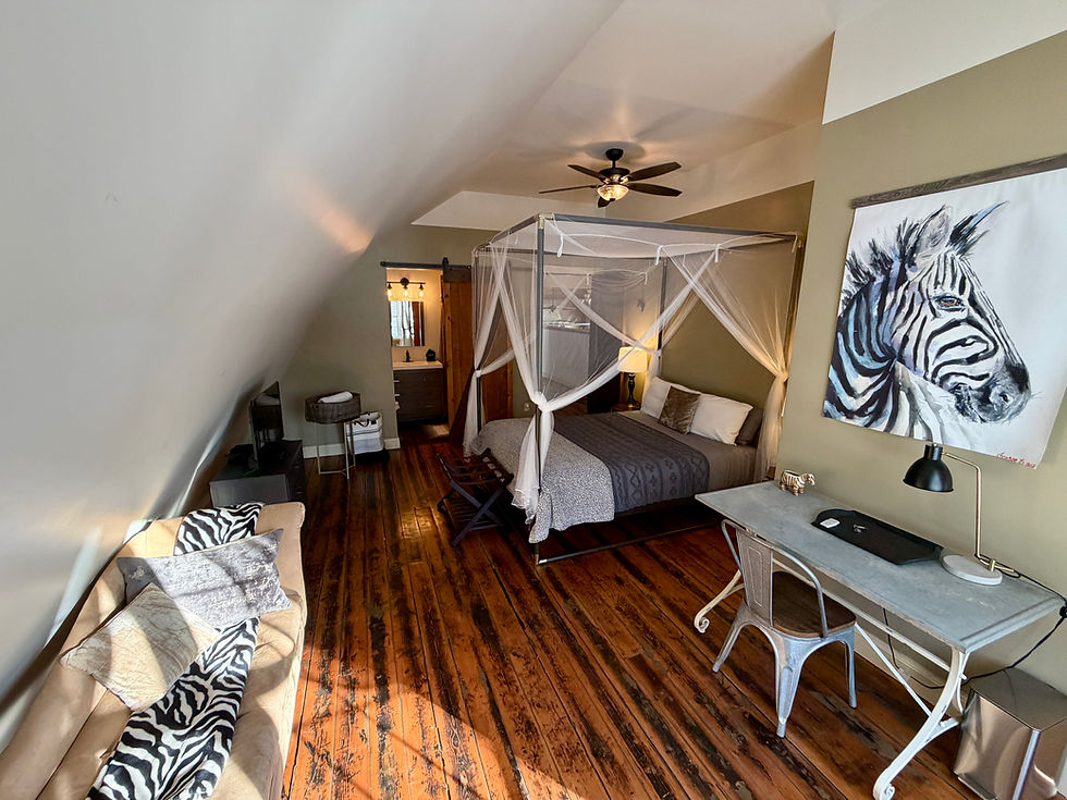 Zebra Room