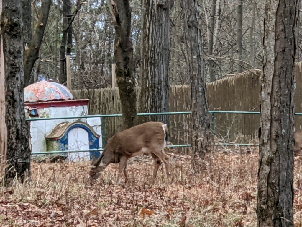 The Old Game Farm Catskills, NY