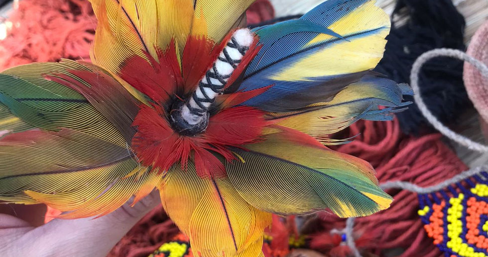 8. Oitava imagem_Legenda complementar..jpeg