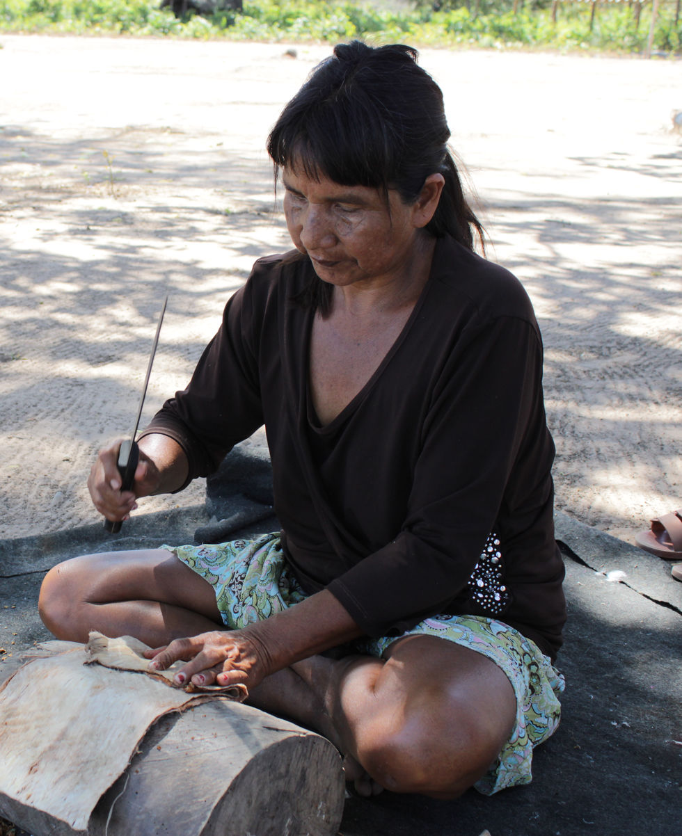 4. Quarta imagem_Legenda Complementar (4).JPG