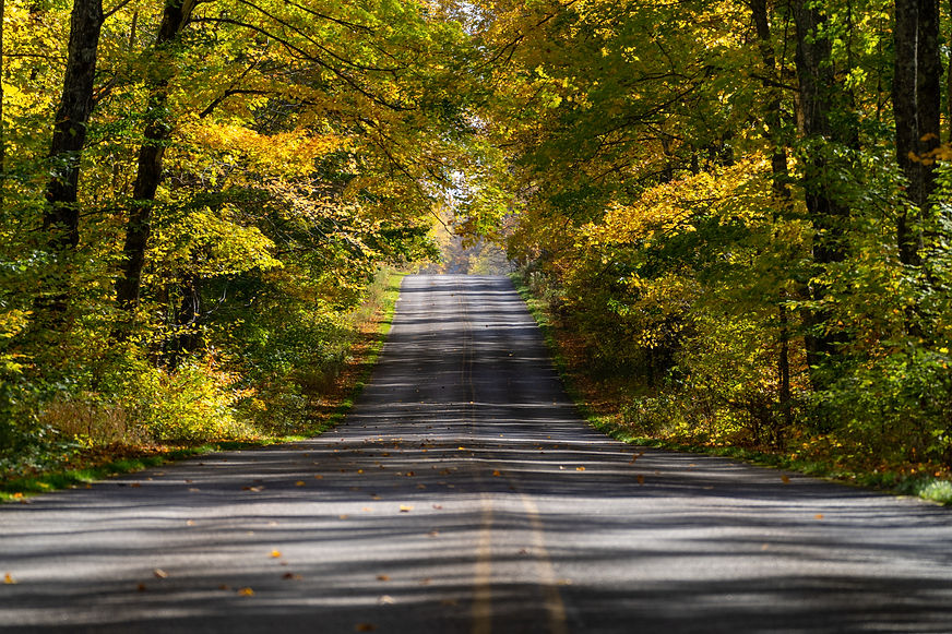 iStock-1365929941.jpg