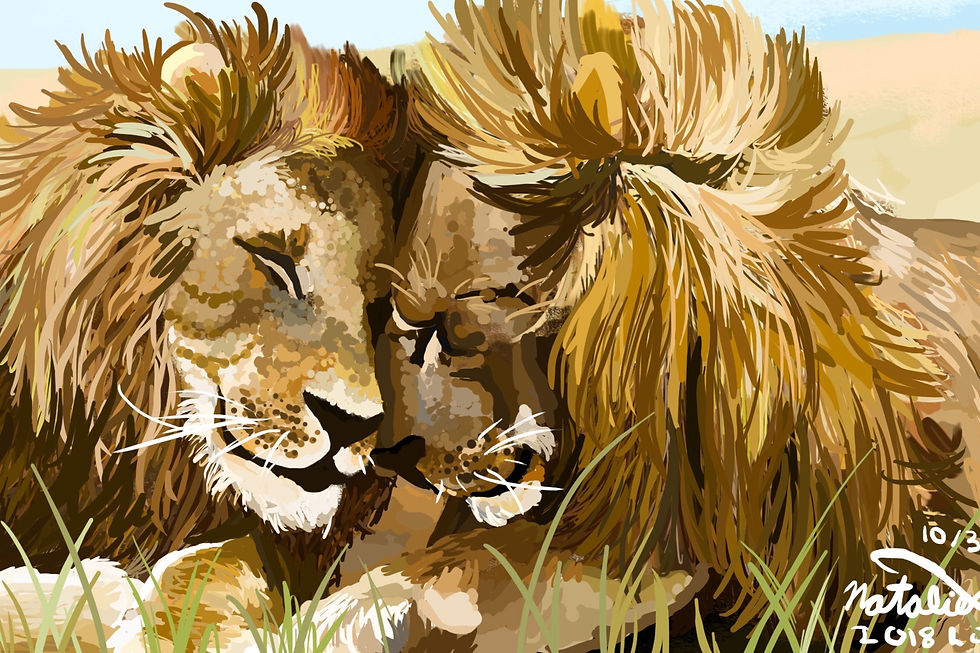 lion2_edited_edited.jpg