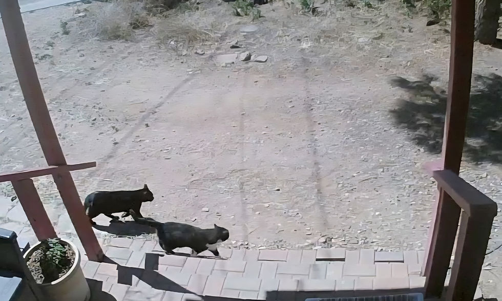 Mother Daughter Team