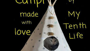 Introducing MTL All Weather Catipi