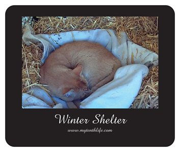 Winter Shelter Mousepad