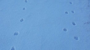 Places To Go, Things To Do