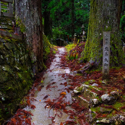 untitled shoot-723.jpg