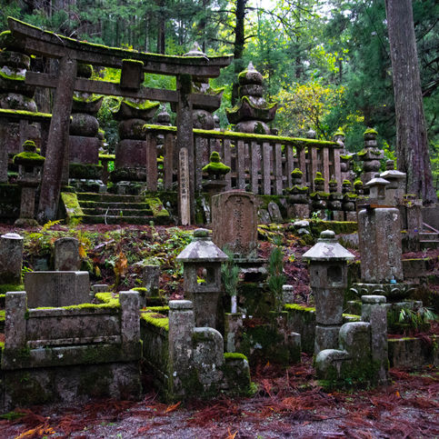 untitled shoot-940.jpg