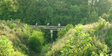 frame_5946.jpg