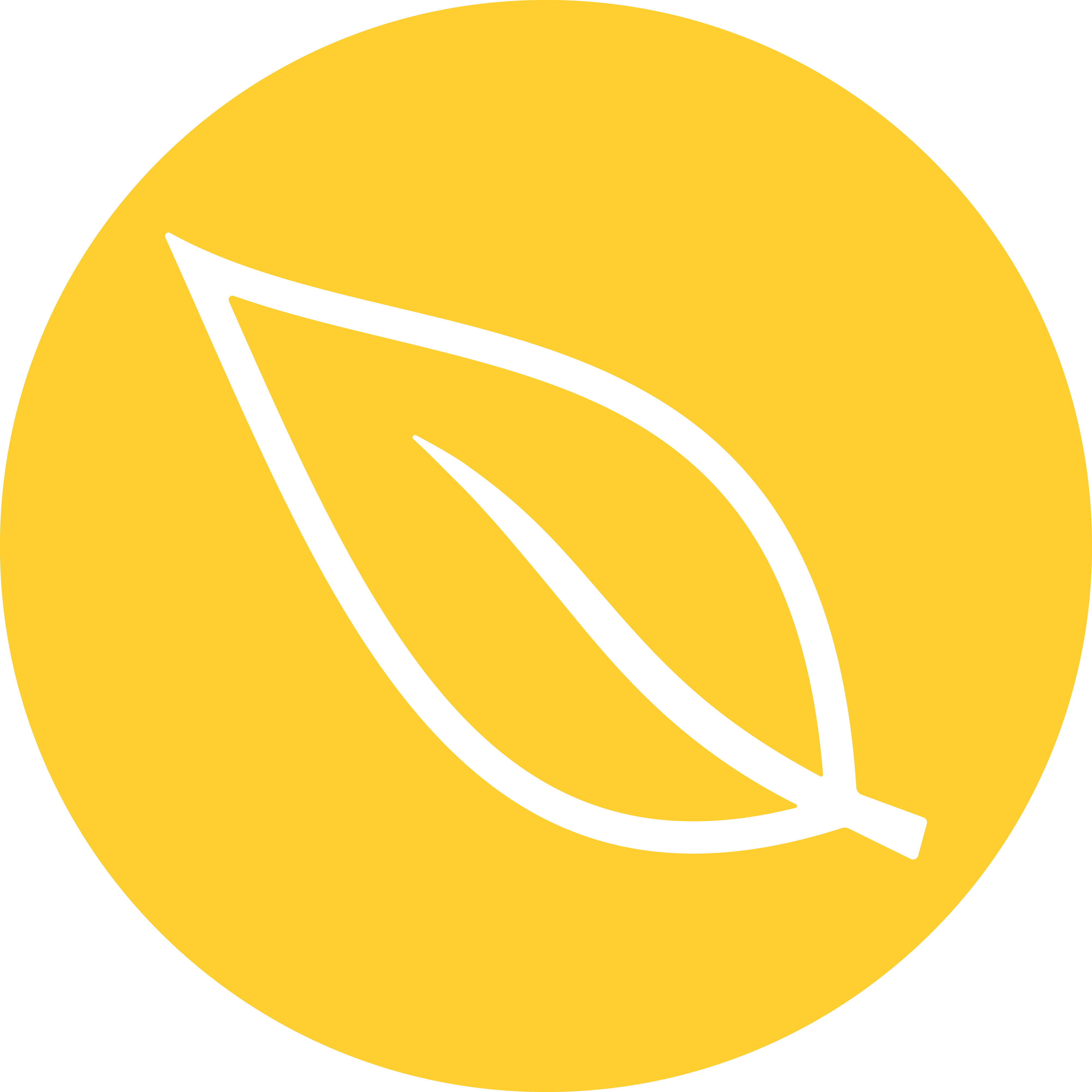 Icon_Solid_Yellow.png