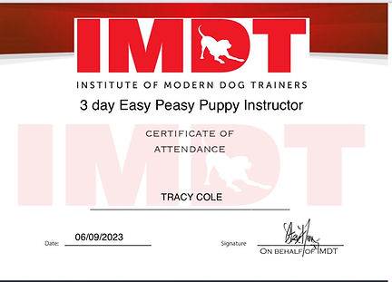 3 day easy peasy puppy instructor certificate.jpg