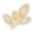 Click to Book Anglesey logo_edited_edited.png