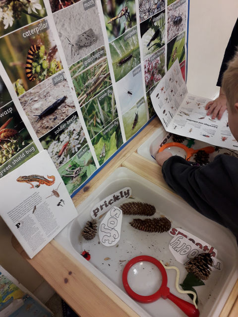 magnifying glasses and insects.jpg