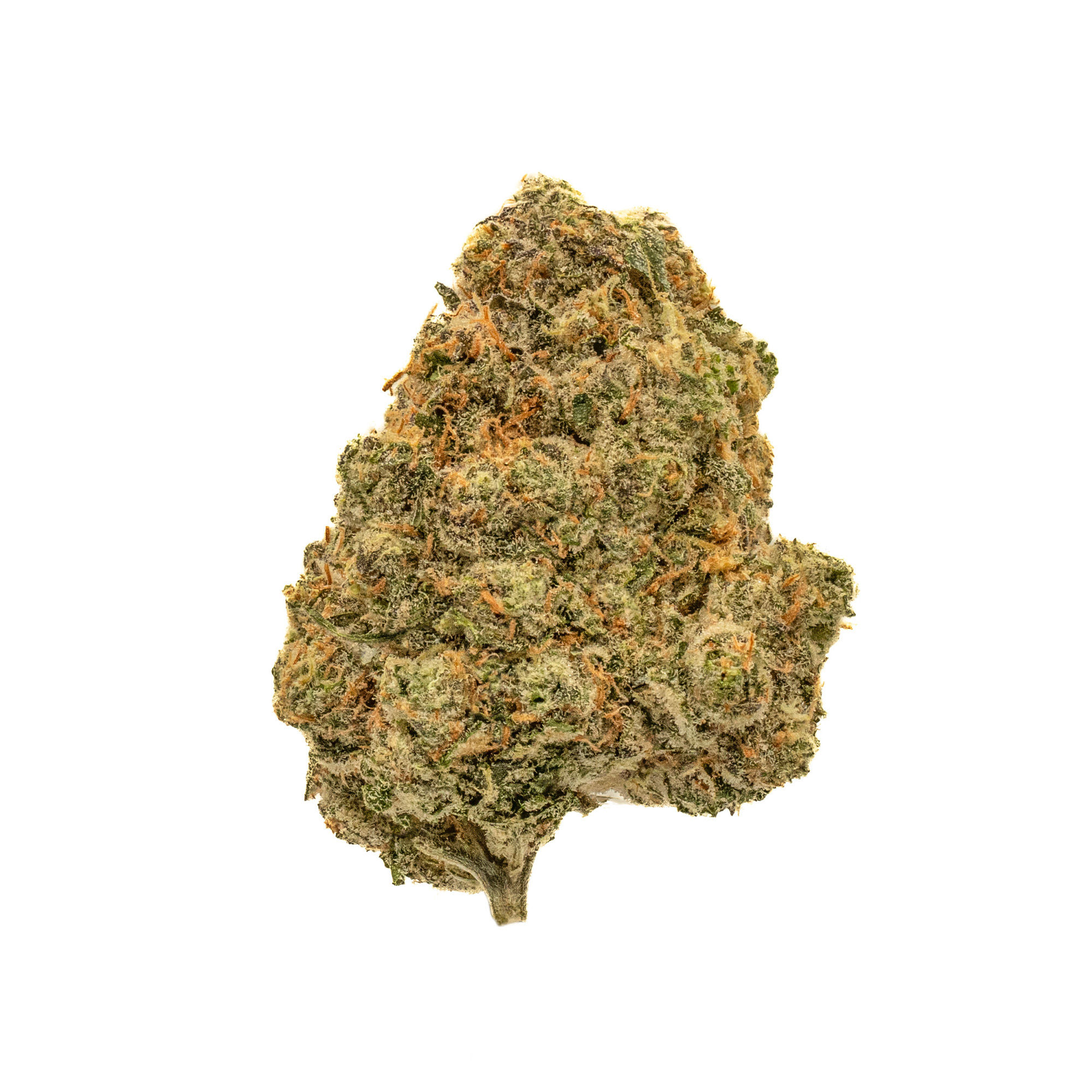 Girl Scout Cookies - 35.03% THCa - Private Reserve