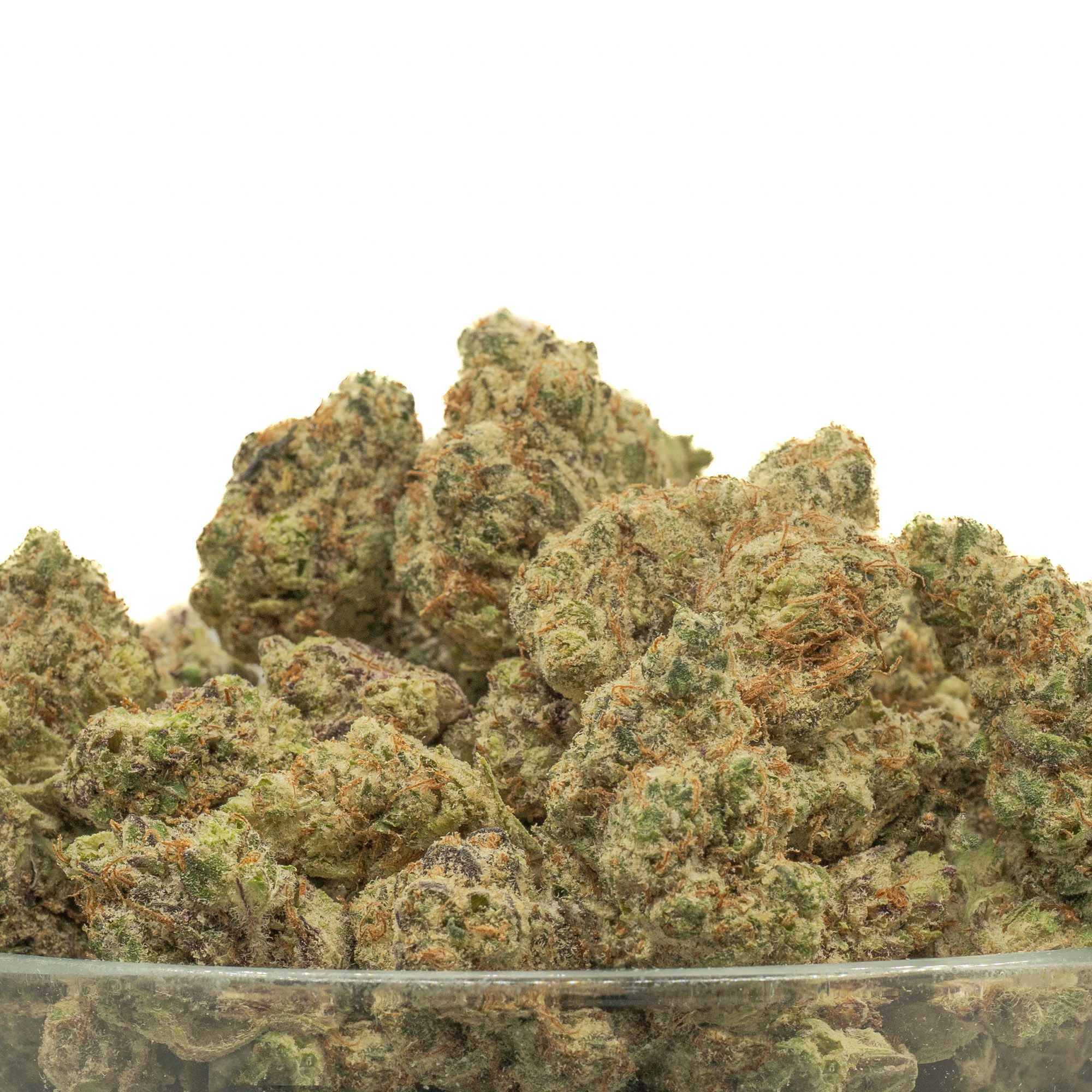 Lulu Smalls - 31.38% THCa - Private Reserve