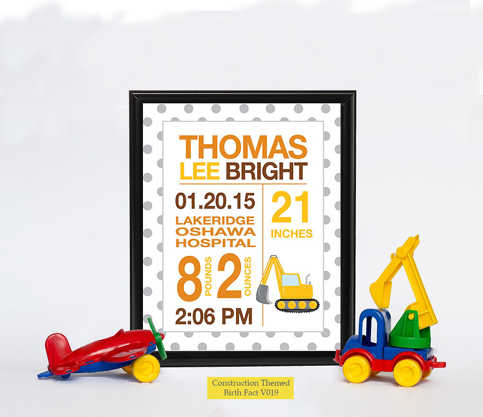 Thumbnail: Construction Themed Birth Facts
