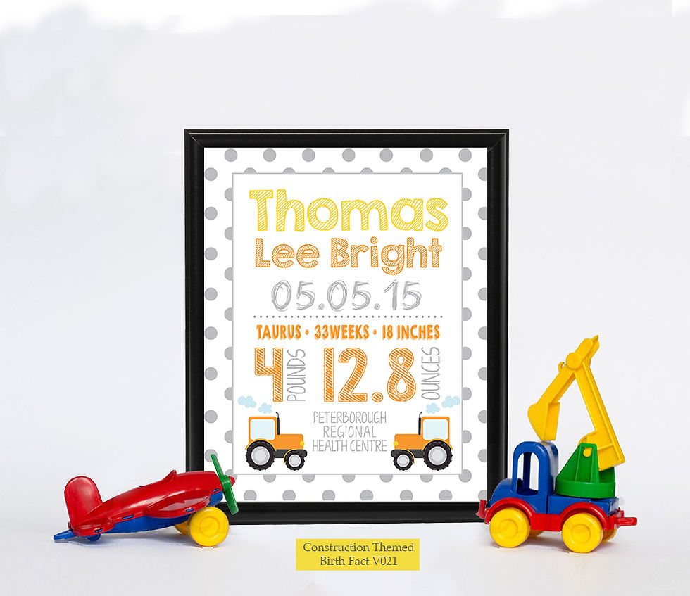 Thumbnail: Construction Themed Birth Facts