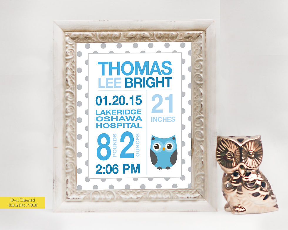 Thumbnail: Owl Themed Birth Facts
