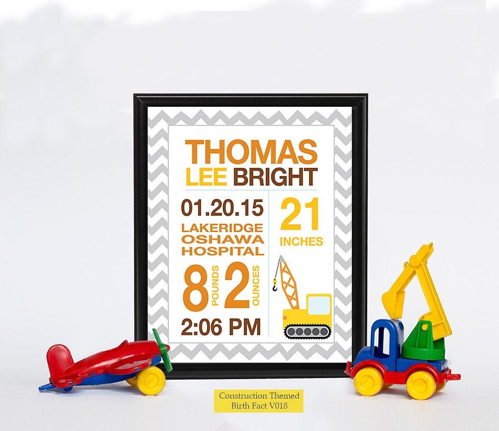 Thumbnail: Construction Themed Birth Facts