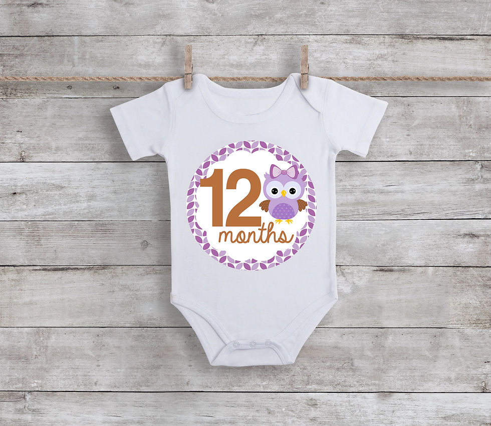 Thumbnail: Owl Themed Baby Monthly Stickers