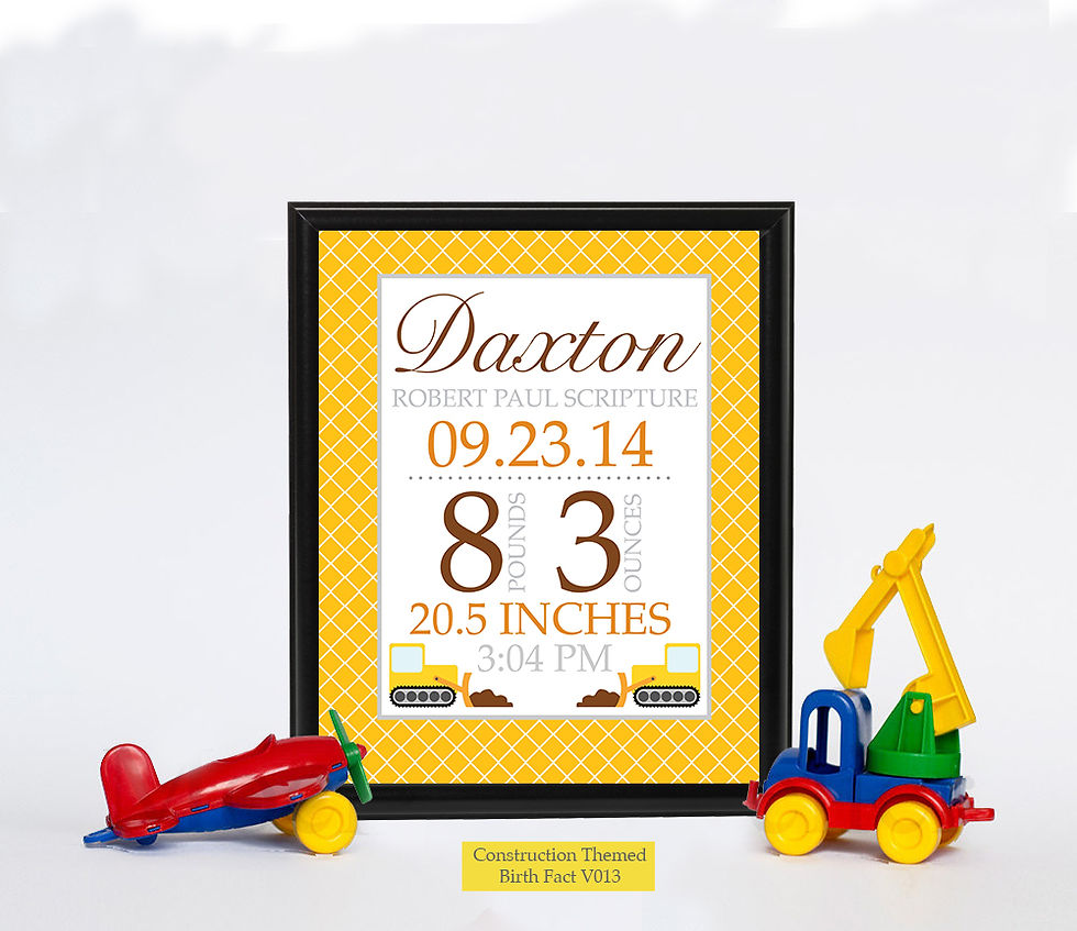 Thumbnail: Construction Themed Birth Facts