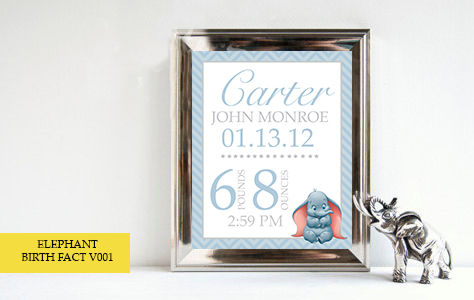 Thumbnail: Elephant Themed Birth Facts