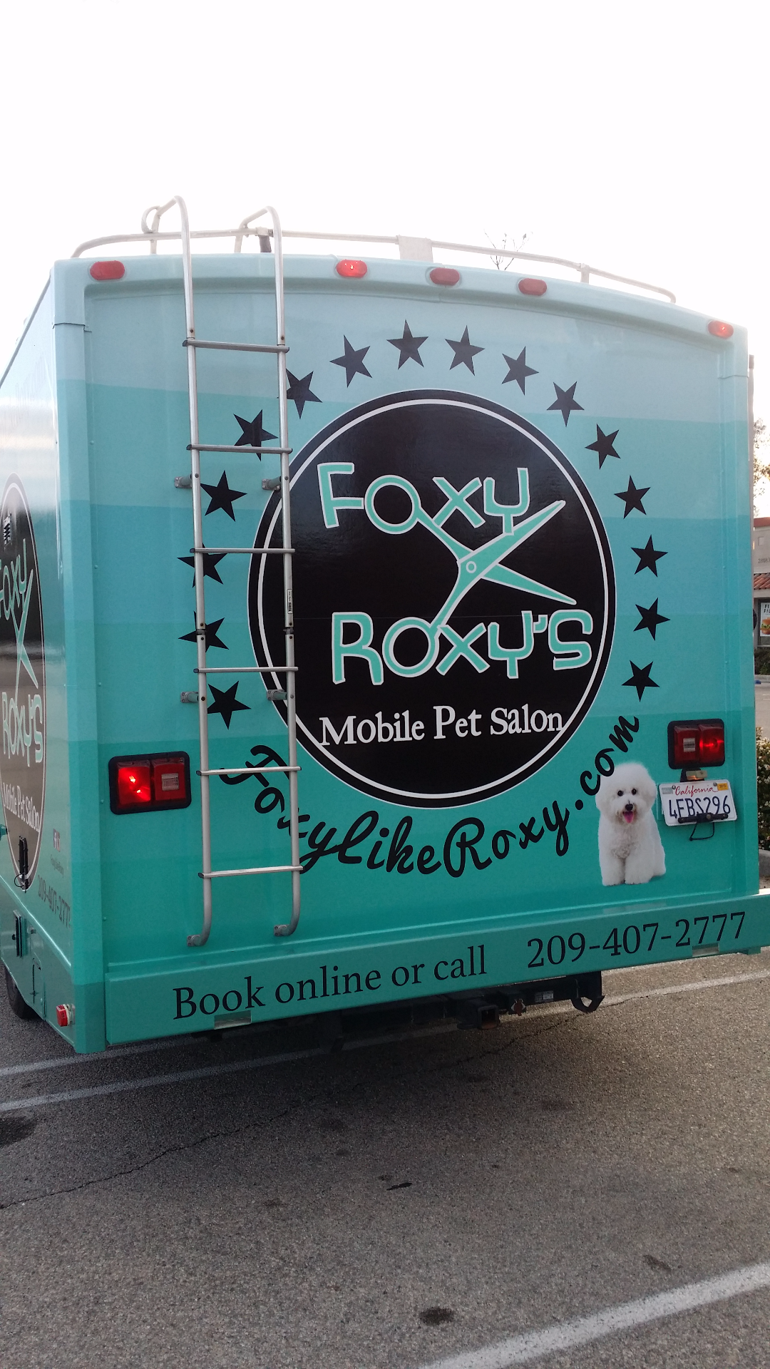 View of mobile dog grooming salon